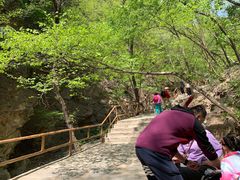 -北京上方山国家森林公园