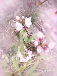 -松和日式美容整骨