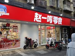 -赵一鸣零食(江苏南京福园街店)