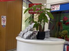 -雅悦齿科(顾村公园店)