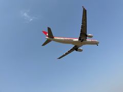 -空港花田景区