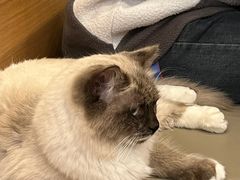 -卡旺卡(合肥步行街韵淮阁店)