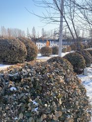 -优沃得自然教育农场·冰雪乐园·生日会·研学
