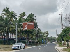 -东郊椰林