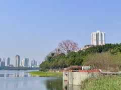 -南宁南湖公园