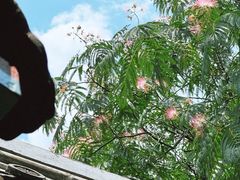 -北京颐和宾馆