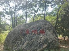 -人民公园(黄骅市)