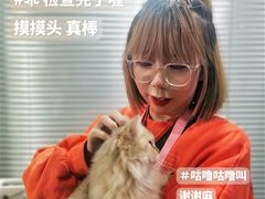 -伟伟宠物医院·CT影像中心·瑞派犬猫综合性门诊(汉口总院)