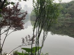 -重庆彩云湖湿地公园
