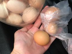 -沈家花园如皋菜(海阳路店)