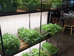 -番食园鲜食火锅(高新店)