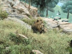 -西霞口神雕山野生动物世界