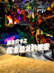 -恐龙探索乐园(磁器口店)