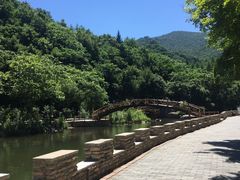 -龙道沟景区
