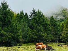 -硗碛藏寨·神木垒景区