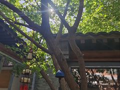 -VOYAGE COFFEE(杨梅竹店)