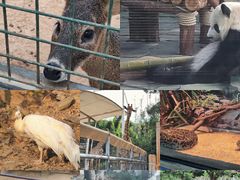 -泉州海丝野生动物世界