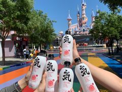 -沈阳方特欢乐世界