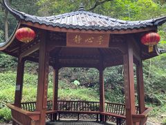 -黄埔油麻山森林公园