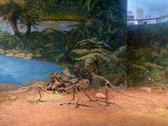 -自贡恐龙博物馆