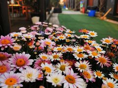 -冰冰龙虾·江湖菜·花园江景餐厅