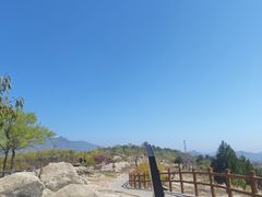 -白水寺森林公园