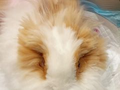 -美迦爱-牙专科·兔科·骨科诊疗中心(北苑店)