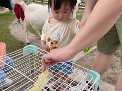 -前小桔亲子创意农场·草莓采摘·露营烧烤