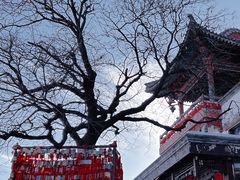 -香山公园
