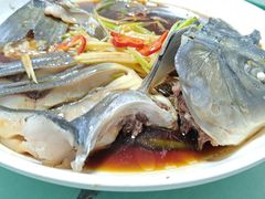 -煲来饱去冷水鱼