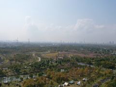 -上海滨江森林公园