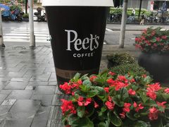 -Peet's Coffee皮爷咖啡(大学路店)