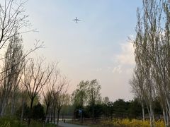 -东郊湿地公园