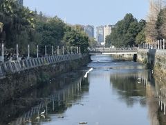 -杨柳河(地铁站)