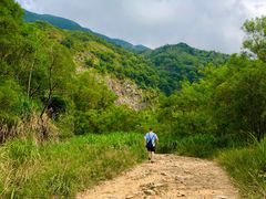 -梧桐山风景名胜区