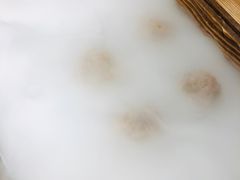 -原牛道·潮汕围炉火锅(讯美店)