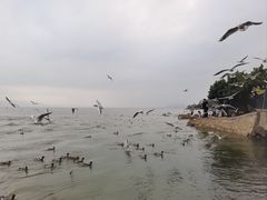 -深圳湾公园(南山区)