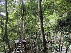-海南槟榔谷黎苗文化旅游区