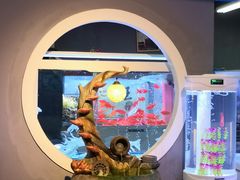 -秦美花卉(天朗·莱茵小城2期店)