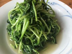 蒜蓉鸡毛菜-四季民福烤鸭店(前门廊房二条店)
