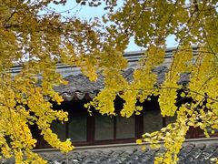 -西园戒幢律寺
