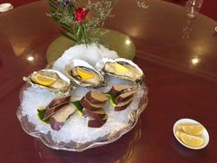 -新锦鸿(演达店)