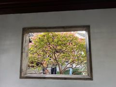 -秋霞圃