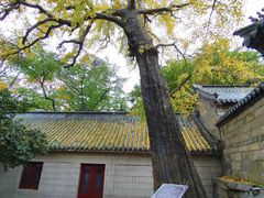 -青岛崂山太清宫