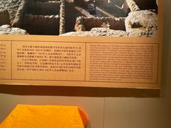 -青海藏文化博物院