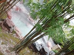 -崇阳三特浪口温泉