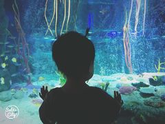 -沈阳海洋探索中心