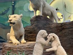 -陕西自然博物馆