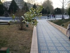 -中国石油大学（北京）(北京西校区)