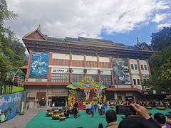 -西双版纳原始森林公园
